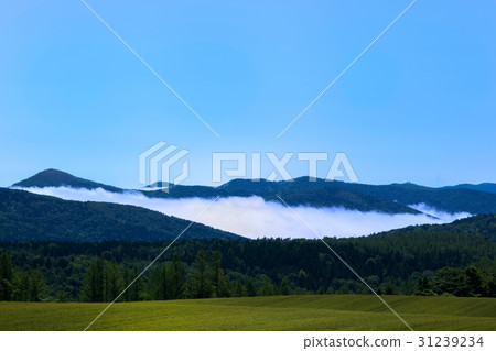 Scenery of the hill Clouds clinging to the mountains Northern Osaka Minamifurano 31239234