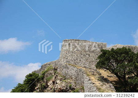 Remains 31239242