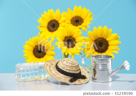 Sunflower and summer image 31239590