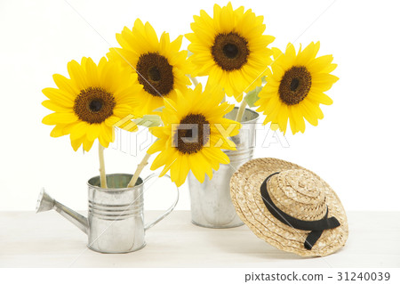 Sunflowers and buckets Sunflowers and buckets 31240039