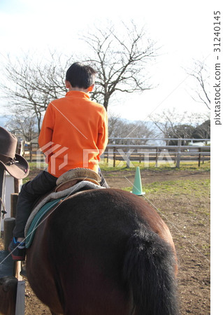 horse riding  31240145