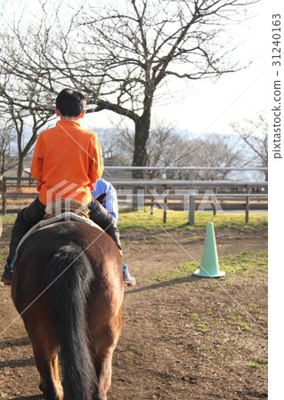 horse riding  31240163