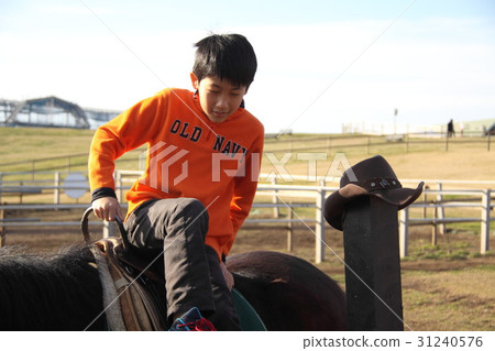 horse riding  31240576