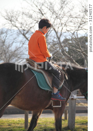 horse riding  31240577