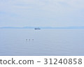 Tsugaru Strait 31240858
