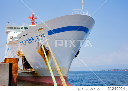 Osaka Harbor Swan Sawa 31240914