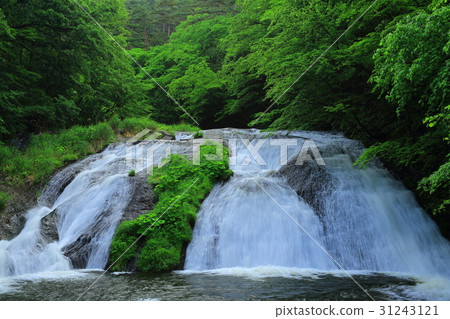 Kamabuchi瀑佈在夏天 Kamabuchi瀑佈在夏天 31243121