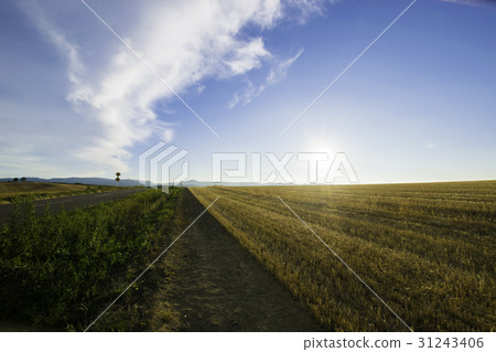 山景觀美瑛 31243406