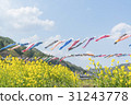 Carp streamers swimming in the blue sky and rape fields 31243778