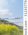 Carp streamer swimming in the blue sky 31243779
