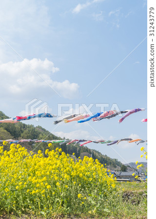 Carp streamer swimming in the blue sky 31243779