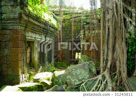 Cambodian heritage 31243811
