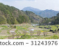 Rural landscape of the mountains 31243976