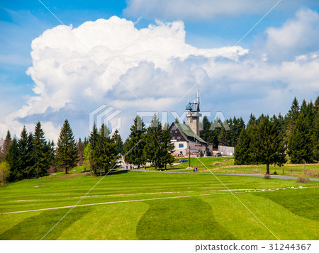 Freshly mowed meadow in Jizera Mountains near Freshly mowed meadow in Jizera Mountains near 31244367