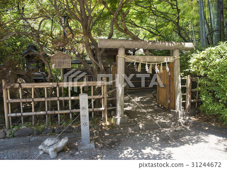 Tama Shimizu Co., Ltd. (Suginami Ward, Tokyo), the prefectural company of Omiya Hachimangu Shrine, 31244672