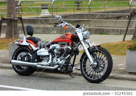 哈利戴維森 31245301