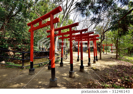 貓伊納里神社 31246143