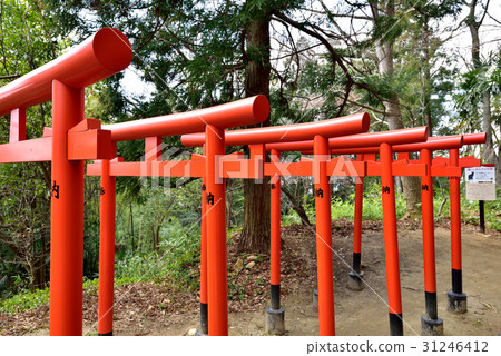 Cat Inari Shrine 31246412