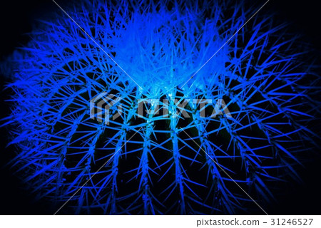 Blue needle mountain Blue needle mountain 31246527