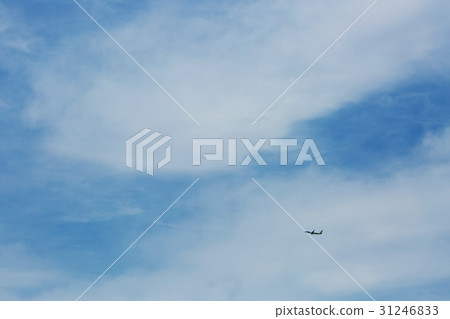 一架飛機 31246833