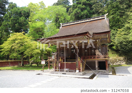 Shiga Hiyoshi Taisha Shogunate 31247038