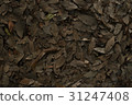落葉 31247408