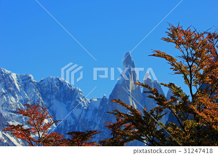 Cerro Torre mountain in autumn colors. Los 31247418