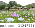 Traditional houses in the Korean age of Korea Traditional houses in the Korean age of Korea 31247551