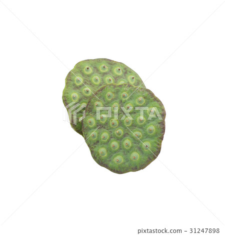 Lotus seed pods isolated on white Lotus seed pods isolated on white 31247898