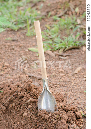 Shovel in the ground.. Shovel in the ground.. 31248260