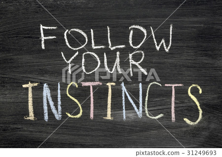 follow your instincts 31249693