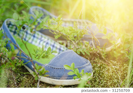 Moccasins in the grass Moccasins in the grass 31250709