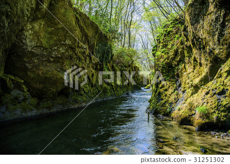 Tarumae Gallo 31251302