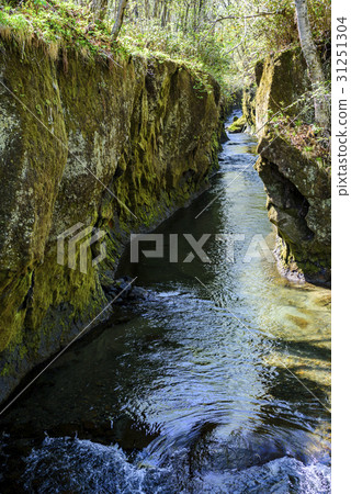 Tarumae Gallo 31251304