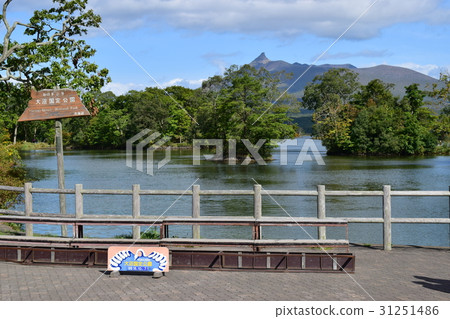 大沼國立公園 大沼國立公園 31251486
