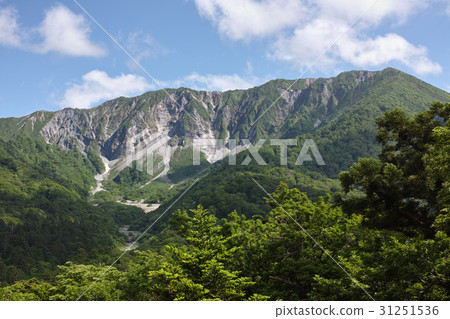 The Great Mountain North Wall of early summer 31251536