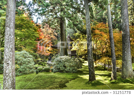 Autumn leaves of Yasase Ohara Sanzenin 31251778