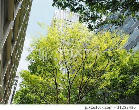 這個城市的綠洲 這個城市的綠洲 31252480