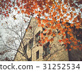 Ewha University 31252534