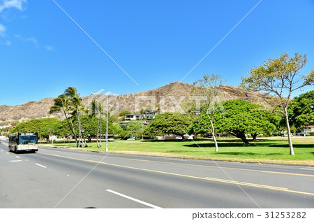 Holidays in Hawaii 31253282