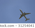 藍天和飛機 31254041