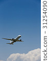 藍天和飛機 31254090