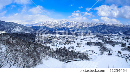 tree, of tree, trees 31254464