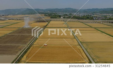  Scenery where combine moves in Chikugo plain wheat field in Fukuoka prefecture 31254645