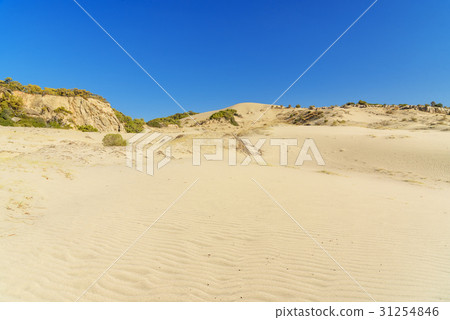 Sand dunes on Patara beach. Turkey Sand dunes on Patara beach. Turkey 31254846