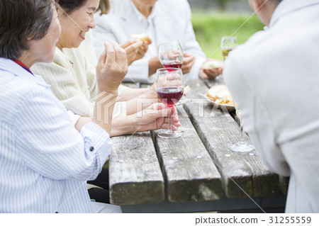 高級交流會議圖像 31255559