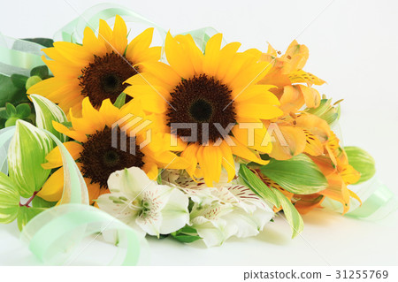 太陽花花束 太陽花花束 31255769