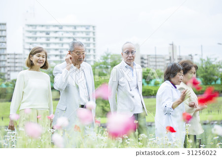 高級旅行形象 31256022