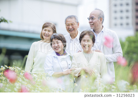 高級旅行形象 31256023