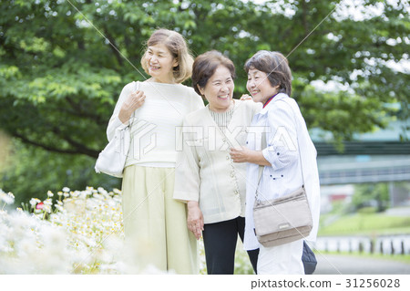 高級婦女旅行圖像 高級婦女旅行圖像 31256028